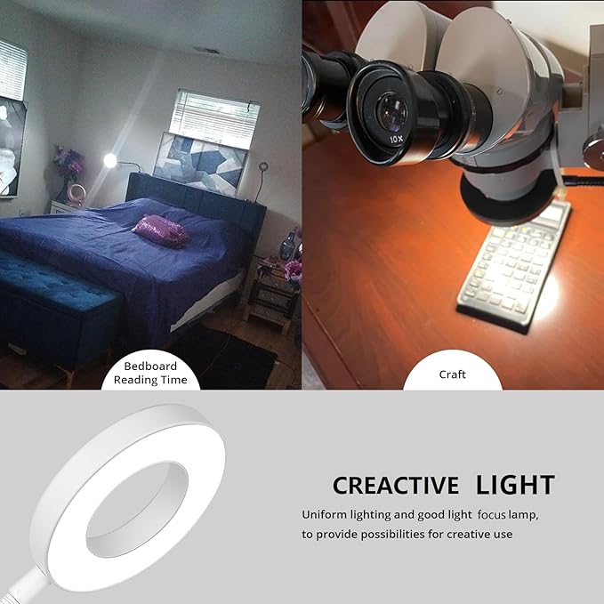 Woputne Desk Clip on Lamp for Reading Home Office, with 5V 2A Adapter, 10 Dimmable Brightness 3 Modes, Clamp Reading Light for Bed Headboard, Craft (White)…