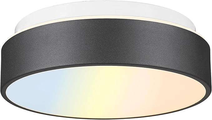 AUTELO Flush Mount Ceiling Light-Black Ceiling Light Fixture - 12Inch LED Close to Celing Lights with Frosted Glass Shade C3312 BK LED