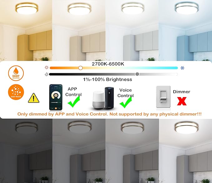 CLOUDY BAY 12 Inch LED Smart Flush Mount Ceiling Light,20W 2700K-6500K, 4W RGB Color Compatible with Alexa and Google Home Assistant, Nickel Satin