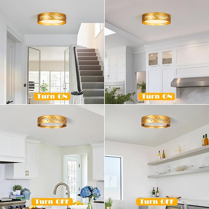 Modern Dimmable LED Flush Mount Ceiling Light with Remote, 2400LM 2700K-6500K Adjustable 12 Inch Bedroom Ceiling Light with Night Light for Kitchen Hallway Bathroom Living Room (Gold, Arc)
