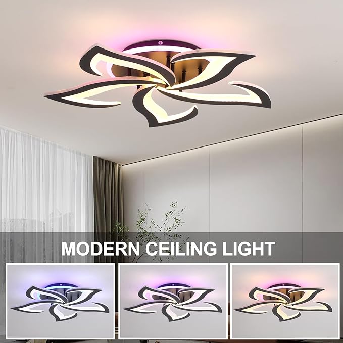 Modern LED Ceiling Light, Dimmable Flush Mount Ceiling Lights, Remote Control Acrylic Ceiling Lamp Fixture for Living Room Dining Room Bedroom,3000-6000K,Black