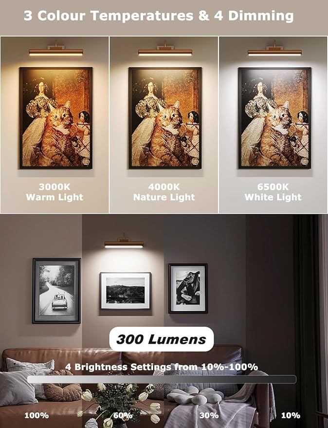 Picture Light Battery Operated, 13in Wireless Art Light for Paintings, Dimmable 5000mAh Recharging Battery Picture Light with Remote Control for Wall, Gallery Dartboard (Orange Copper -1Pack)