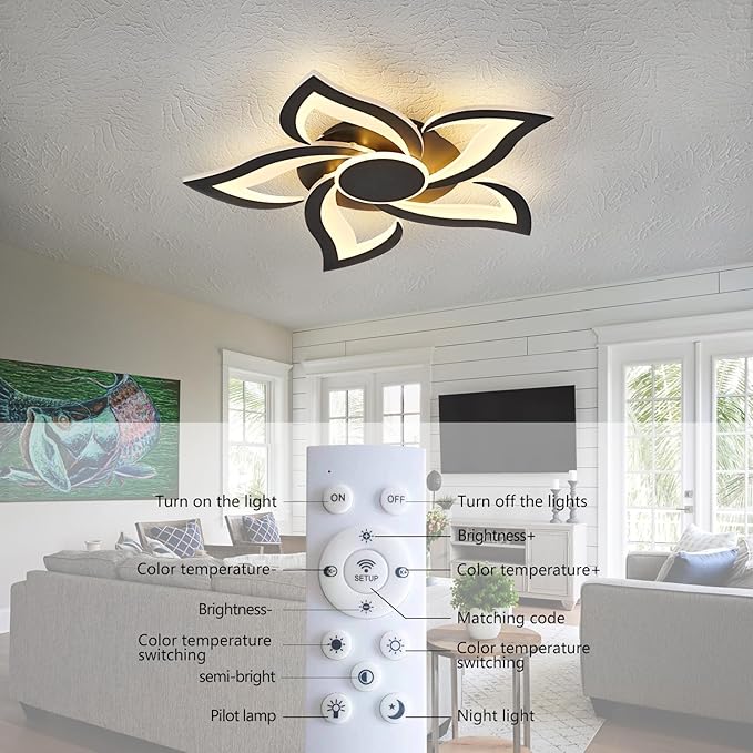 HuixuTe 24" Modern Geometric Ceiling Light Fixture, Black Dimmable 3 Colors LED Close to Ceiling Light Fixtures with Remote, Low Profile Flush Mount Ceiling Light for Kitchen, Living Room
