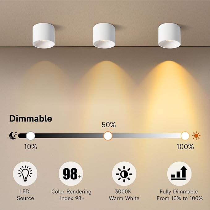 Flush Mount Dimmable Ceiling Light, Modern Close to Ceiling Light Fixtures for Hallway, Closet, LED 3000K White Cylinder Ceiling Light Spot Lights for Living Room Kitchen Entryway Foyer