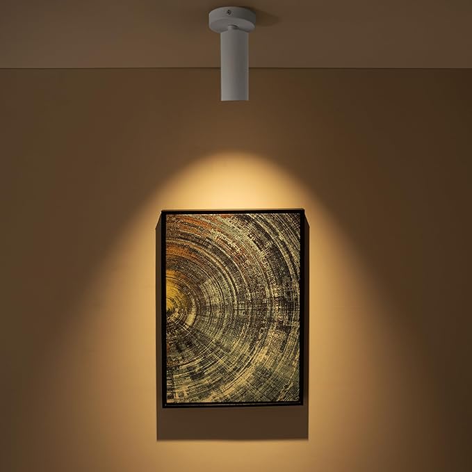 Aisilan LED Modern Directional Dimmable Spotlight Adjustable 90 Degrees Anti Glare Ceiling Spot Light for Indoor Foyer Living Room Warm White White 9W CREE COB CRI 97