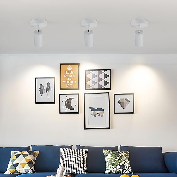 White Spot Lights Indoor 2 Pack LED Ceiling Spotlight Fixtures Adjustable 90° Anti-Glare Spotlight for Living Room, Paintings, Wall Art and Artwork, Warm White 3000K