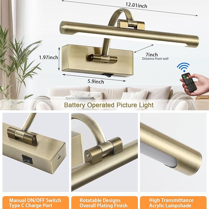 Tassuowell Wireless Picture Lights for Wall,12 Inch Battery Operated Picture Light,3CCT Dimmable Lights for Pictures on Wall with Timer and Remote for Display Photo Frame (Antique Bronze, 12inch)