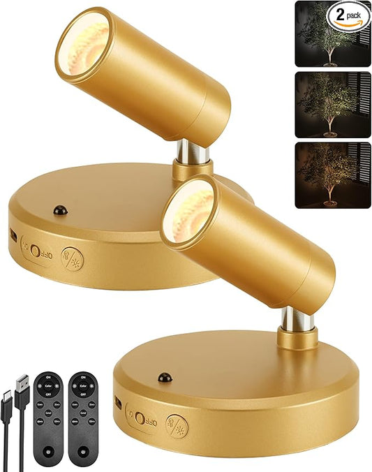 EZVALO LED Spotlight Indoor, 5500mAh Rechargeable Battery Uplighting Indoor, Wireless Mini Art Accent Spot Lights with Remote, for Plants, Display,Painting, Dartboard, Artwork, Portrait (2Pack-Gold)
