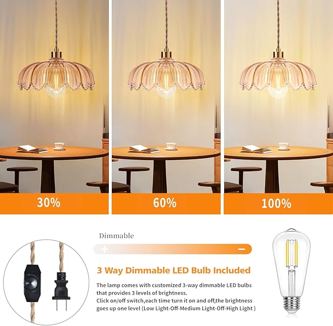 QIYIZM Plug in Pendant Light Hanging Lights with Plug in Cord Mid Century Modern Gold Hanging Lamp Glass Vintage Dimmable Flower Chandelier Ceiling Fixture for Living Room,Kitchen,Boho