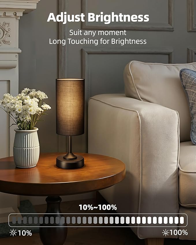 EZVALO Cordless Lamp, Ambient Light, Dimmable, 2700K, Timer, Touch Control, Portable, LED, Battery Operated, Rechargeable, Cordless, Desk Lamp, Kitchen Lamp, Fabric Shade, for Bedroom, Living Room