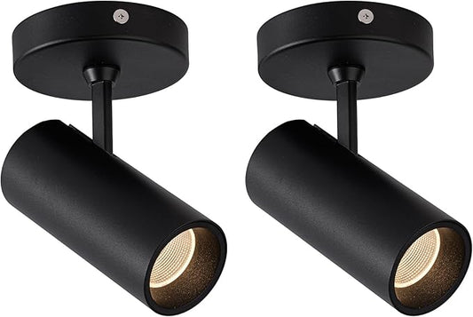 Aisilan 2 Pack LED Modern Directional Dimmable Spot Light Indoor, Adjustable Angle Wired Ceiling Spotlight Lamp for Living Room, Painting, Artwork Accent Lighting - Warm Light 3000K, 9W, CRI 97