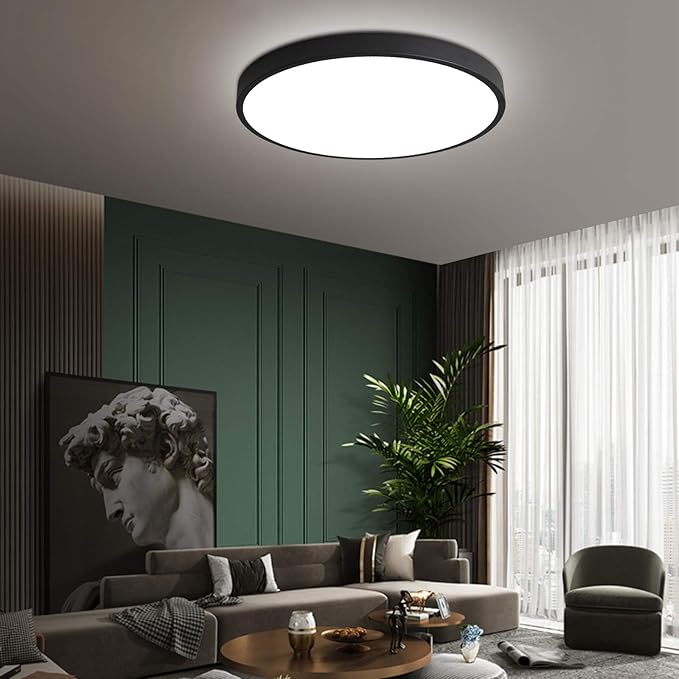 15.8 Inch LED Flush Mount Ceiling Light 2PACK, 30W Black Kitchen Light Fixtures (200W Equi) 2400lm, 5000K Daylight Round Light Fixture Mount for Hallway, Bedrooms, NOT-DIMMABLE