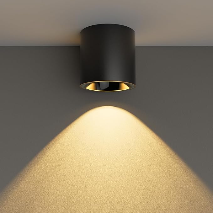 24W LED Dimmable Black Ceiling Spot Light 4.92'' Aluminum CRI90 3000KCylinder Spotlight Indoor Modern Minimalist Focus Black Ceiling Down Light Fixture for Living Room Hallway Foyer