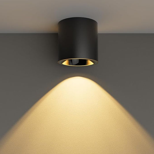 24W LED Dimmable Black Ceiling Spot Light 4.92'' Aluminum CRI90 3000KCylinder Spotlight Indoor Modern Minimalist Focus Black Ceiling Down Light Fixture for Living Room Hallway Foyer