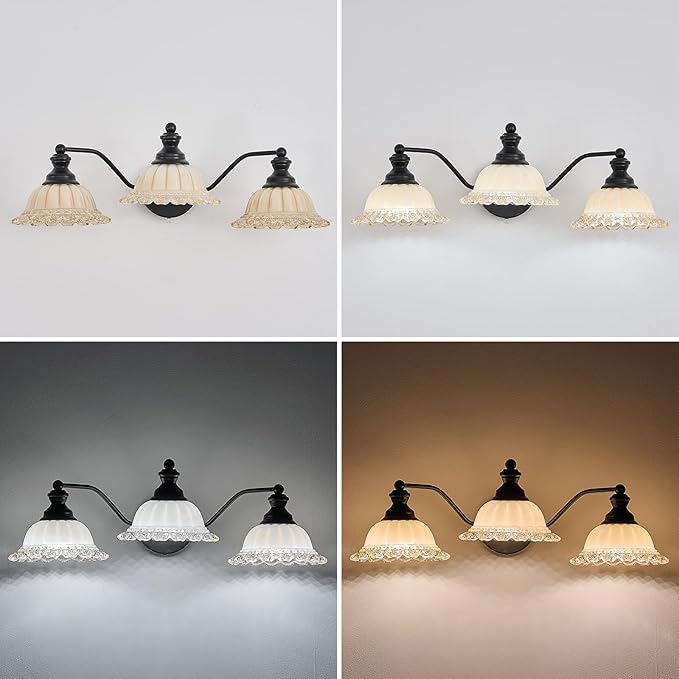 XIEDUN Black Bathroom Vanity Light 3 Light