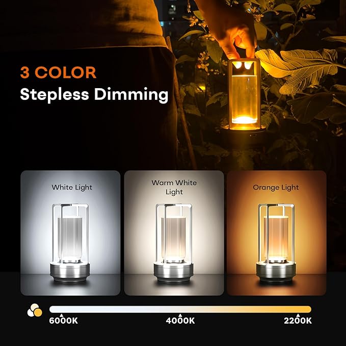 Portable Metal Table Lamp for Indoor/Outdoor ,Rechargeable Cordless LED Lamp, 3-Colour Infinitely Dimming Battery Powered Small Desk Lamp, Restaurant/Bedroom/Bar/Coffee Shop/Camping Light (Silver)