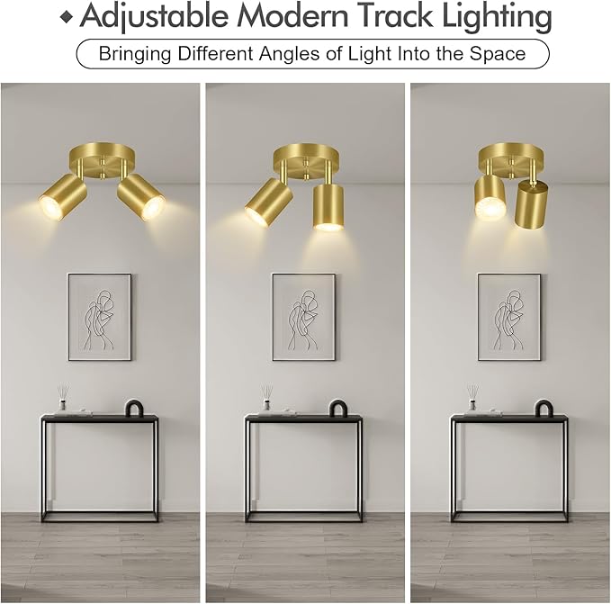 2 Light Track Lighting Fixtures Ceiling, Gold Round Directional Ceiling Spotlight, GU10 Flush Mount Ceiling/Wall Fixture, Adjustable Modern LED Track Lights for Kitchen/Living Room, Bulb Not Included