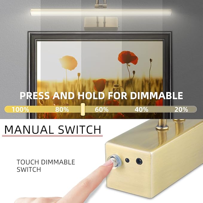 RAIFOOLLY Picture Light, Cordless Picture Lights for Wall,16inch Picture Lights with Timer and Dimmable, 5000mAh Battery Wall Lights for Display Gallery Painting Art Frame Portrait, Metal, AB
