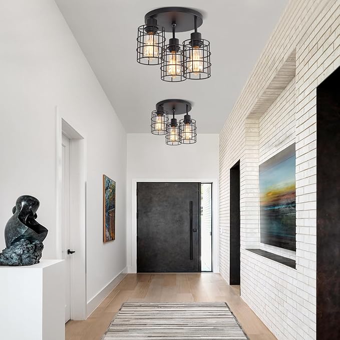 3 Lights Industrial Ceiling Light Fixtures,Iron Cage Ceiling Lamp Pendant Lighting,3-Light Close to Ceiling Light Fixtures, Modern Chandelier for Bedroom Entryway Kitchen Hallway
