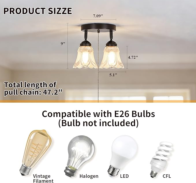 2-Light Flush Mount Ceiling Light with Pull Chain Clear and Frosted Glass Low Profile Lighting Fixtures for Kitchen Living Room Dining Room Closet, Black