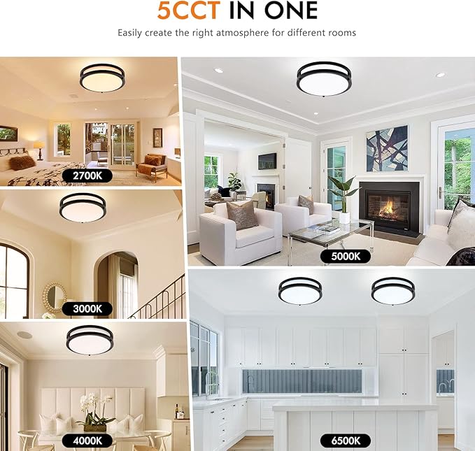 2-Pack 10Inch 30W LED Flush Mount Ceiling Light Fixtures Black, Ultra Bright 3200LM Dimmable Ceiling Lights, 5CCT 2700K 3000K 4000K 5000K 6500K, Ceiling Lamps for Kitchen Hallway Bedroom Bathroom