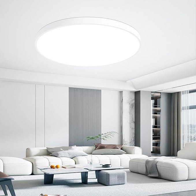 24 Inch Flush Mount Ceiling Light Fixture, Dimmable with Remote, 3000K-6500K Adjustable Color, 48W 4800Lm Ultra Thin Modern Round LED Ceiling Light, White for Bedroom, Kitchen, Living Room