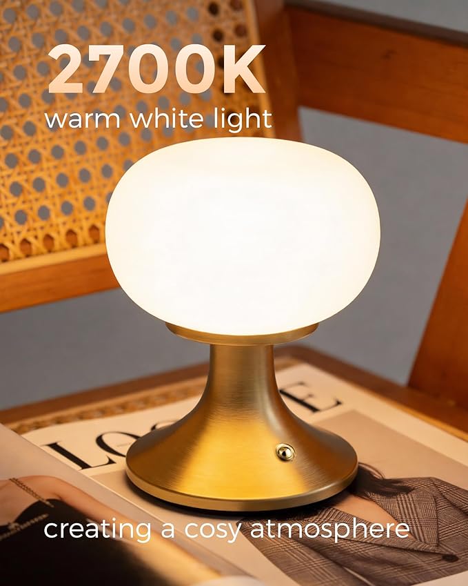 Cordless Table Lamp, LED Mushroom Lamp with Glass Shade & Stepless Dimming, Touch Control Nightstand Lamp for Bedroom,Living Room,Dining Table