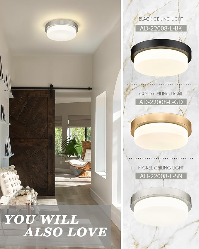 Flush Mount Ceiling Light, 13inch Close to Ceiling Light Fixtures 24W 2200LM Dimmable 2700K/3000K/4000K/5000K/6000K LED Ceiling Lamp for Kitchen Bedroom Hallway, Brushed Nickel, AD-22008-L-SN
