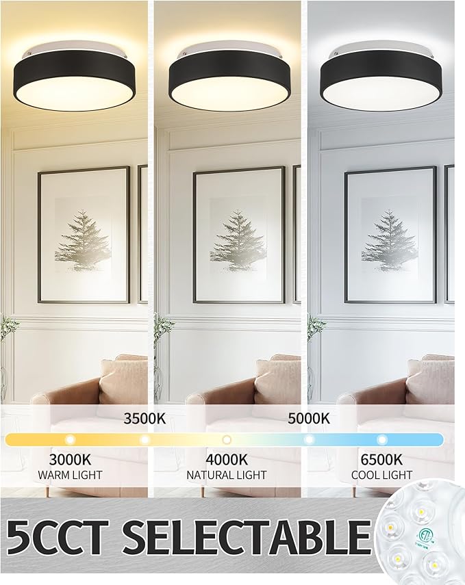 AUTELO Flush Mount Ceiling Light-Black Ceiling Light Fixture - 12Inch LED Close to Celing Lights with Frosted Glass Shade C3312 BK LED