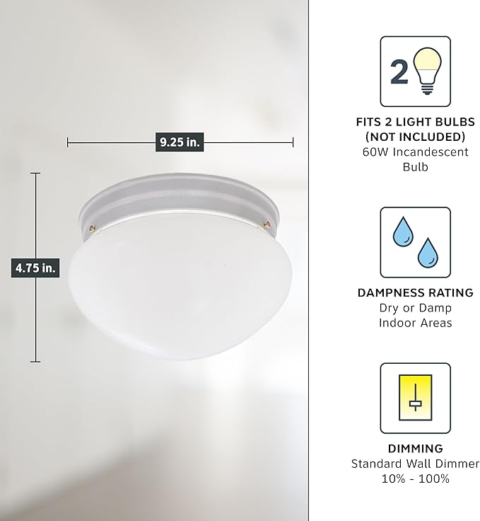 DESIGNERS FOUNTAIN 2-Lights Flush Mount Ceiling Light, 9 Inch Lighting Fixture for Kitchen, Bedroom, Bathroom, and Hallway, Frosted White Glass, White, 4732-WH