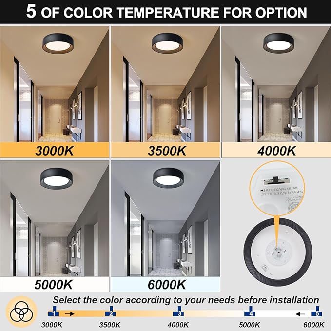 11.8 Inch Modern Dimmable LED Round Matte Black Flush Mount Ceiling Light,5CCT Adjustable 3000K-6000K,Close to Ceiling Lighting Fixture for Hallway,Entryway,Laundry Room,Kitchen,Bedroom