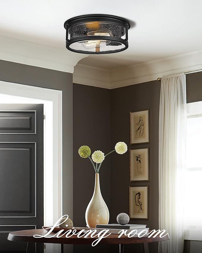 2-Light Flush Mount Light Fixtures，12inch Vintage Industrial Light Fixtures Ceiling Mount with Metal Cage for for Hallway Corridor Kitchen Bathroom Bedroom Passway - Black 2PK