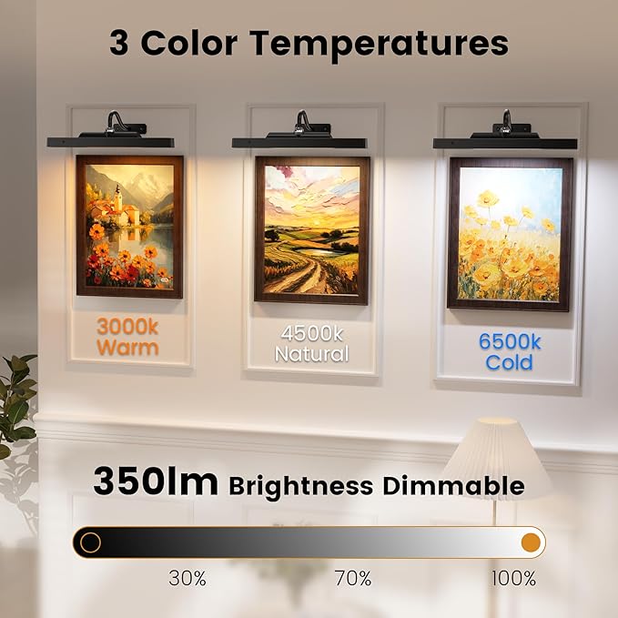 Wireless Picture Lights 12", 4400mAh Battery Powered Cordless Wall Lights, 2Pack Dimmable Remote Timer for Painting Artwork Living Room (Black)