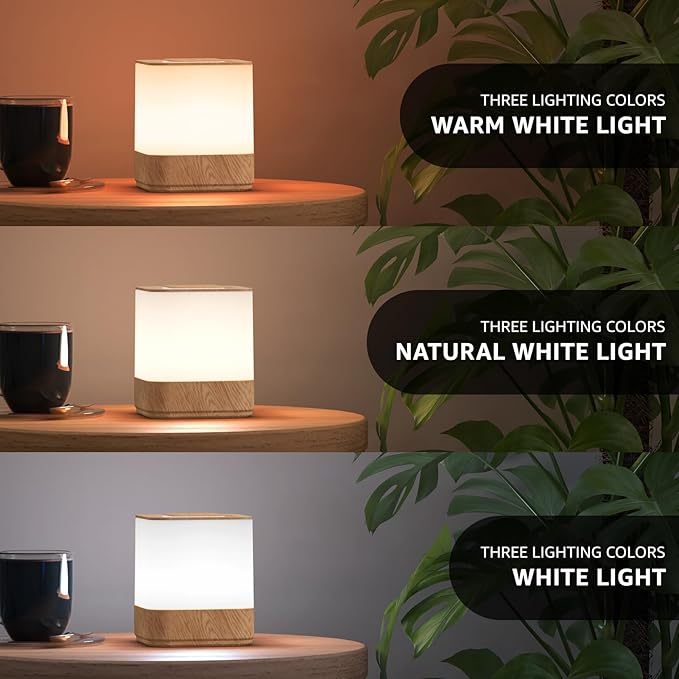 uuffoo 2 Pack Rechargeable Night Light Lamp 3 Color Touch Dimmable LED Portable Table Lamp Battery Operated, USB Changing, Small Cordless Lamp for Bedside Bedroom Travel