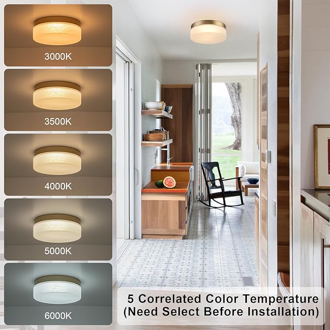 EDISLIVE Cloudy Glass LED Flush Mount Ceiling Light, 5-Step Tunable White, 11.4 Inch Modern Round Gold Ceiling Light for Bedroom, Hallway, Living Room