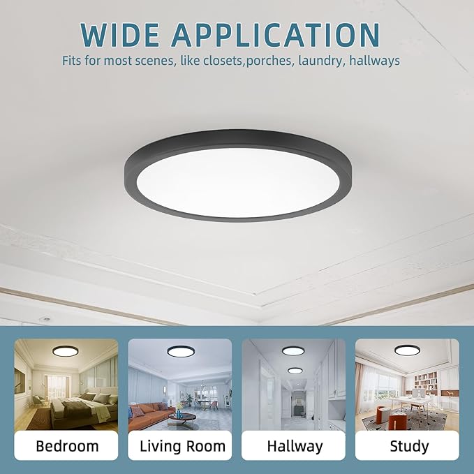 TOPELER Black LED Flush Mount Ceiling Light, 12inch Dimmable Round Ceiling Light, 28W 2400Lm, 5CCT Selectable Low Profile Slim Flat Panel Lights for Kitchen, Bedroom, Laundry, ETL & FCC Listed