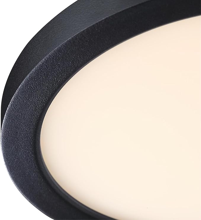Westinghouse Lighting LED Indoor/Outdoor Flush Mount Fixture with Color Temperature Selection