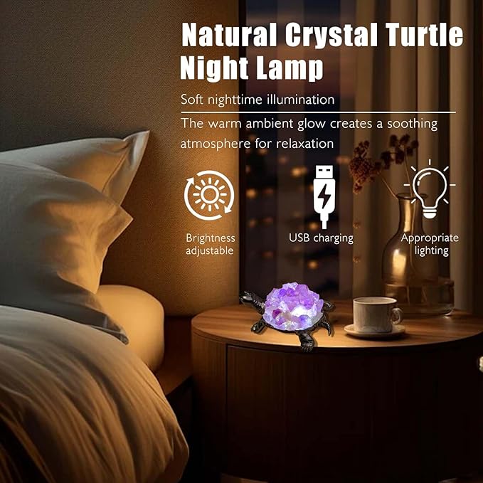 Runyangshi Natural Amethyst Turtle Night Lamp Healing Crystal Bedroom Bedside Table Lamp USB Port Home Decor Women Men Gift