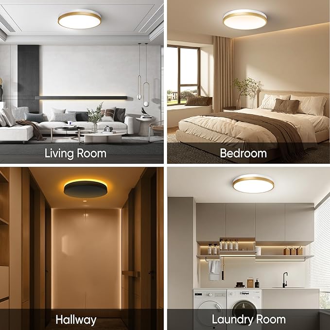 Lightania 11 Inch Flush Mount Ceiling Light with Remote Control & Night Light, 5CCT Dimmable Ceiling Light Fixture, 20W 2000LM 2700K-6500K Adjustable LED Ceiling Lights for Bedroom Kitchen, White Gold