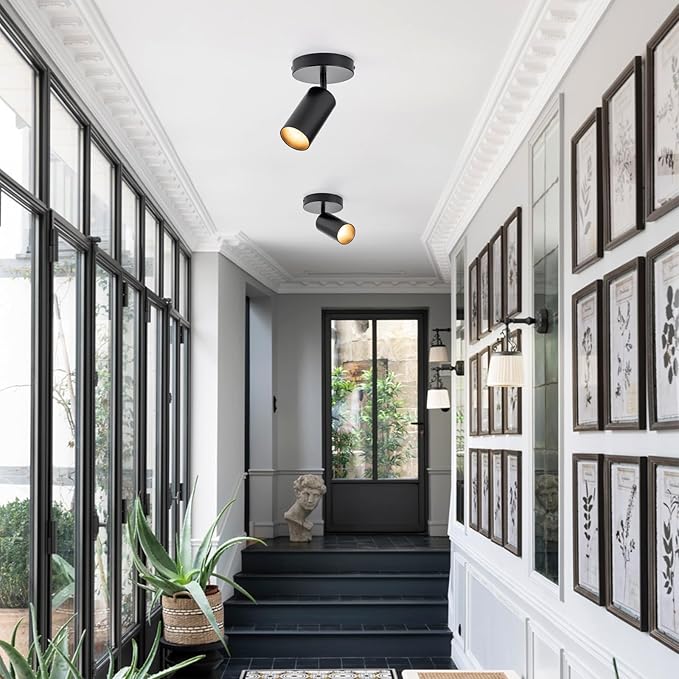 LED Spotlight Indoor 2 Pack Black Ceiling Spotlight Fixtures Adjustable 90° Anti-Glare Spot Lights, Ideal for Living Room, Paintings, Wall Art and Artwork, Warm White 3000K