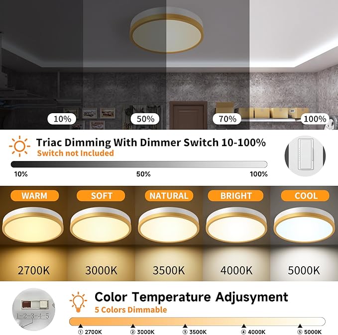 12 Inch 5CCT Thick Metal LED Flush Mount Ceiling Light, White Gold Ceiling Light Fixtures, 24W Dimmable Modern Close to Ceiling Lamps for Kitchen Dining Room Hallway Bedroom Entrance