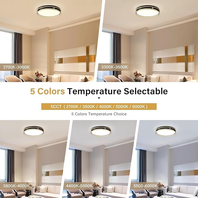 Pevfah Modern Flush Mount Ceiling Light, 5CCT 2700 K-6000 K Dimmable Black and Gold Ceiling Lighting Fixture, Minimalist Round LED Ceiling Lamp for Kitchen, Bedroom, Hallway, Living Room-16.5 Inch