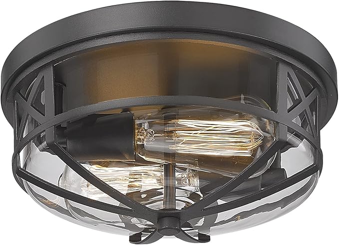 Darkaway Flush Mount Ceiling Light Fixtures Ceiling with Clear Glass Shade, Indoor Outdoor Ceiling Light for Hallway Entryway Bedroom Porch Kitchen 2-Light E26