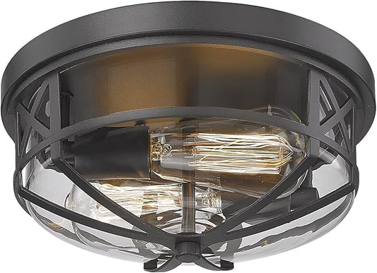 Darkaway Flush Mount Ceiling Light Fixtures Ceiling with Clear Glass Shade, Indoor Outdoor Ceiling Light for Hallway Entryway Bedroom Porch Kitchen 2-Light E26