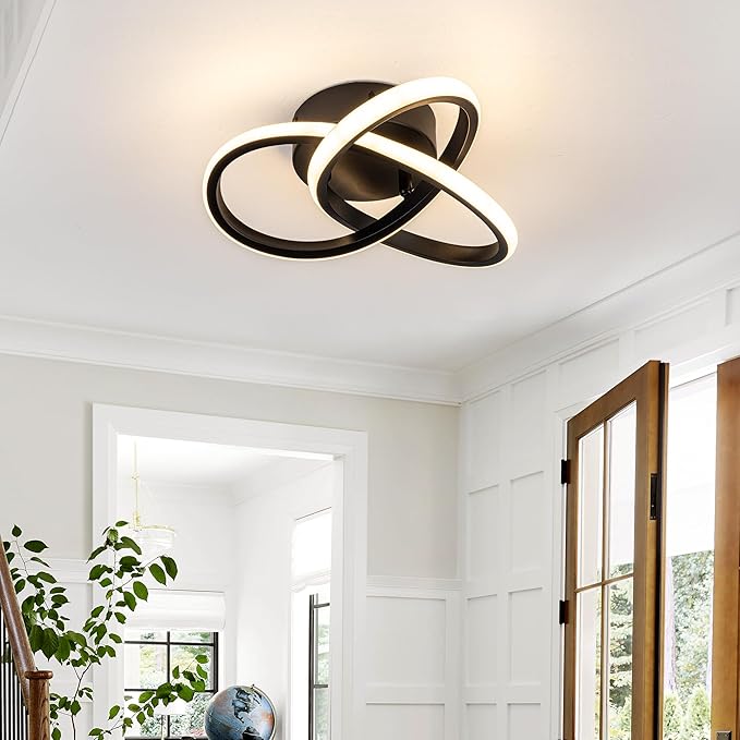 10 Inch Modern Ceiling Light, 24W LED Dimmable Ceiling Light with Remote Control, 3000-6000K Color Temperature Adjustable, Black Small Chandelier for Bedroom, Entryway, Hallway, Kitchen