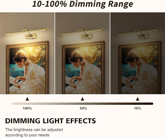 DESOOP Wireless Picture Lights with Remote and Timer Rechargeable Brass Gallery Lighting Battery Operated Art Lights Over Frame Portrait 5W 24'' Inch Warm White