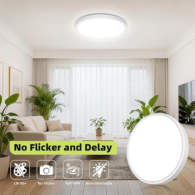 hepside 2Pack 12Inch LED Flush Mount Ceiling Light Fixture 5CCT 24W 2800LM Closet Light Fixture,Small Round Slim Surface Ceiling Lamp for Hallway,Bathroom,Bedroom,Kitchen,Interior
