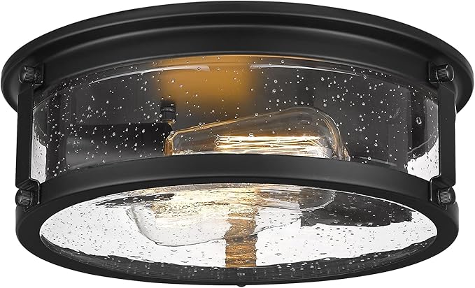 Black Flush Mount Ceiling Light, 2-Light Metal Cage Ceiling Light Fixture, Industrial Farmhouse Flush Mount Light with Seeded Glass Shade for Kitchen, Hallway, Bedroom (12 Inch)