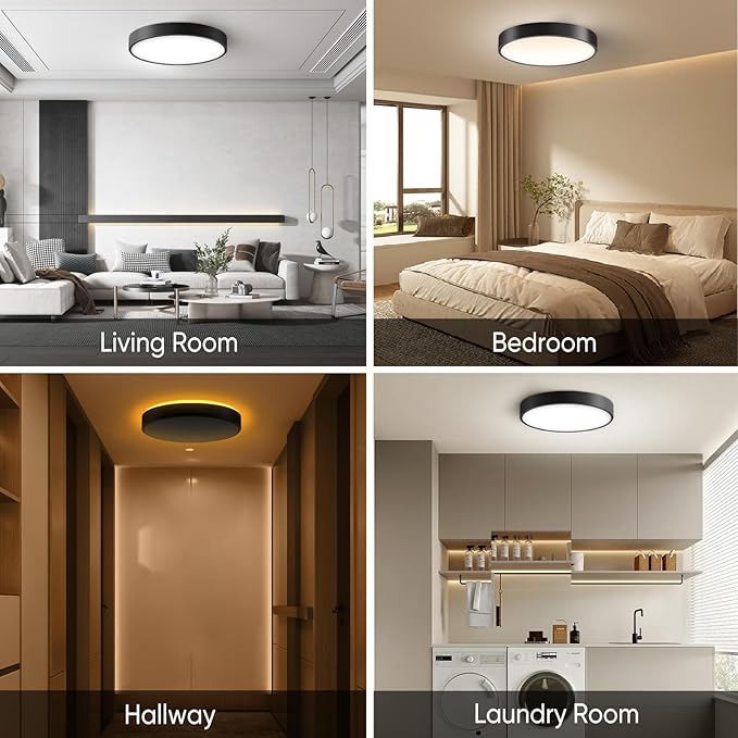 Lightania 11 Inch Flush Mount Ceiling Light with Remote Control & Night Light, 5CCT Dimmable Ceiling Light Fixture, 20W 2000LM 2700K-6500K Adjustable LED Ceiling Lights for Bedroom Kitchen, Black