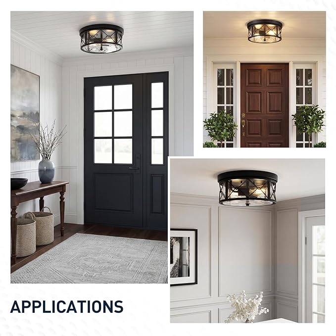 zeyu 2-Light Flush Mount Ceiling Light Fixtures, 12 Inch Lighting Fixture for Kitchen with Clear Glass, Black Ceiling Light, ZY25-F BK